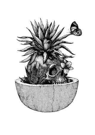 Кактус эскиз