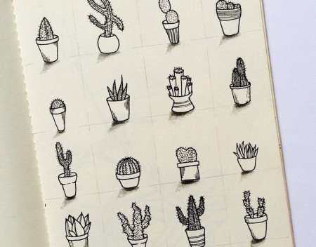 Стикеры растения черно белые