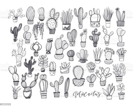 Кактус в графике