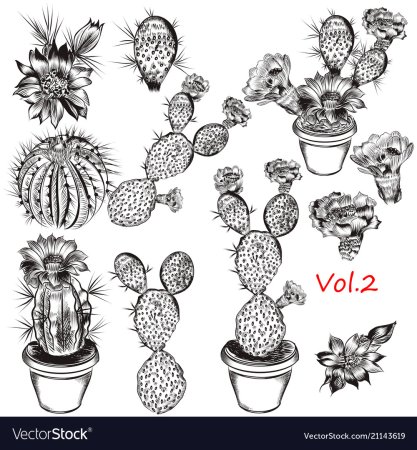 Цветы в горшках для скетчбука