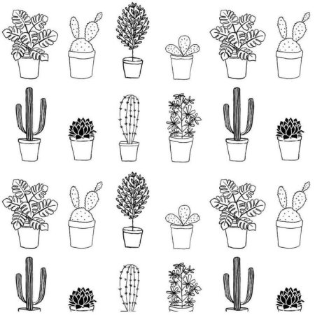 Наклейки черно белые кактусы