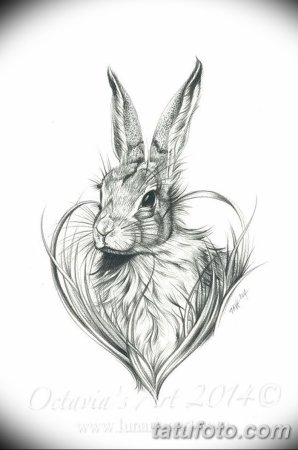 Белый кролик тату эскиз