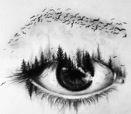 Глаз карандашом чб