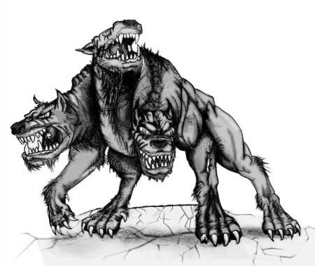 Церберус Рудд