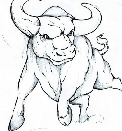 Эскизы Быков