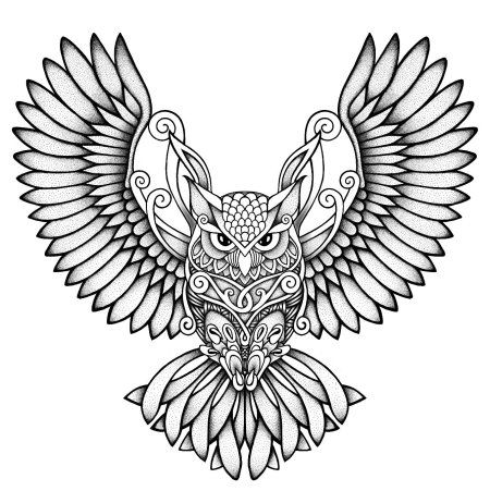 Сова с расправленными крыльями эскиз