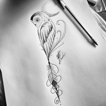 Перо нежное эскиз