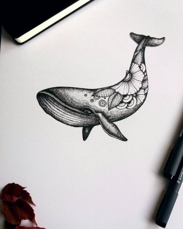 Кит эскиз