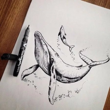 Кит карандашом