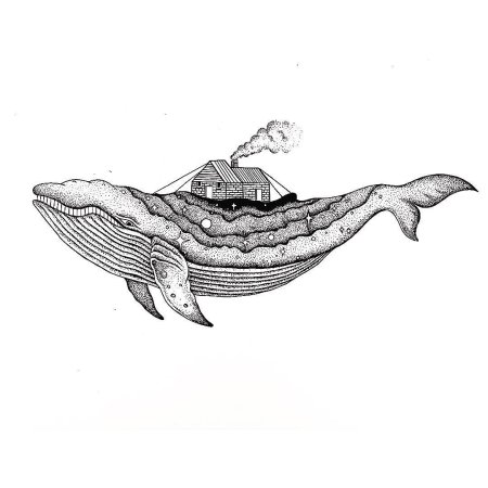 Кит рисунок