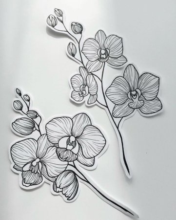 Тату орхидея (84 фото) - значение цветов орхидеи для девушек, эскизы на руке, ноге, ключице, спине