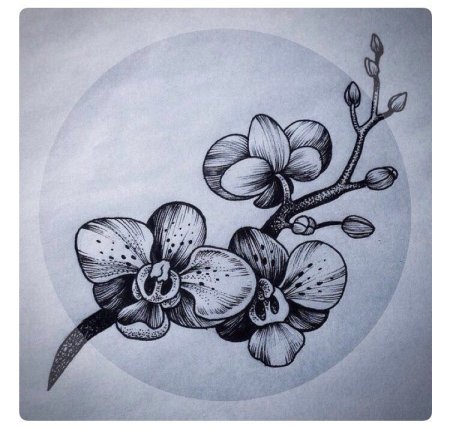 Тату Орхидея эскизы