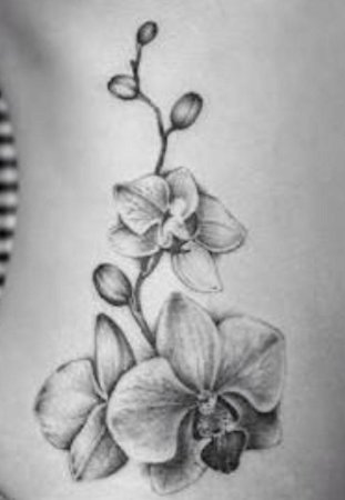 Орхидея эскиз