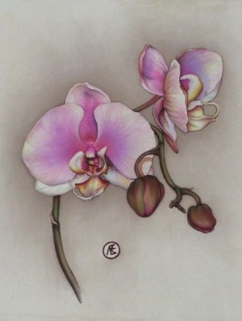 Орхидеи цветок тату акварель