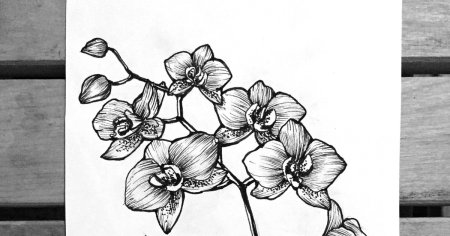 Тату Орхидея эскизы