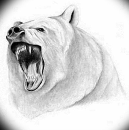 Оскал медведя