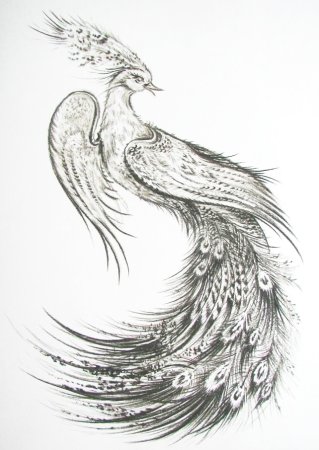 Птица Феникс рисунок