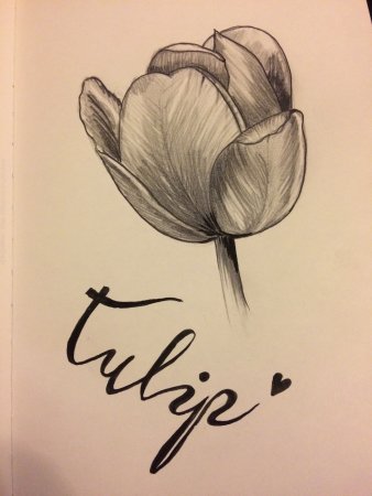 Тюльпан эскиз тату