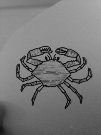 Краб эскиз