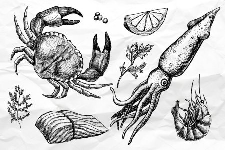 Морское насекомое рисунок
