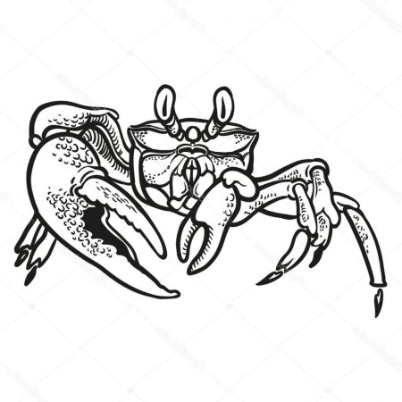Камчатский краб тату