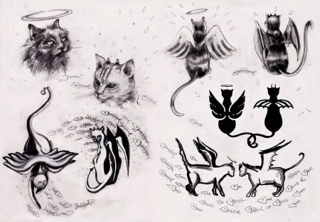 Графическое изображение кошки