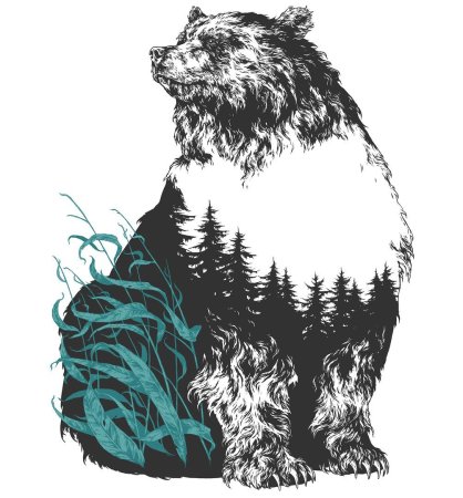 Медведь Графика