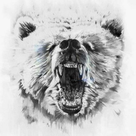 Оскал медведя тату эскиз