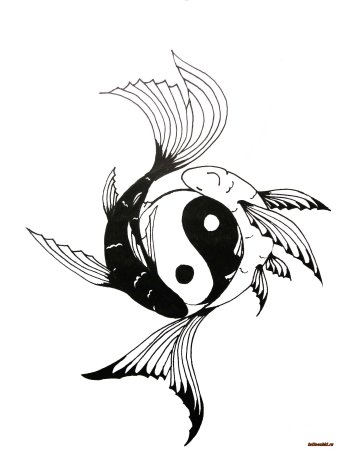 Тату рыбы Инь Янь