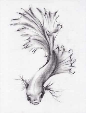 Тату рыбки эскизы