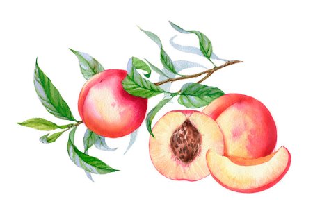 Персик тату эскиз