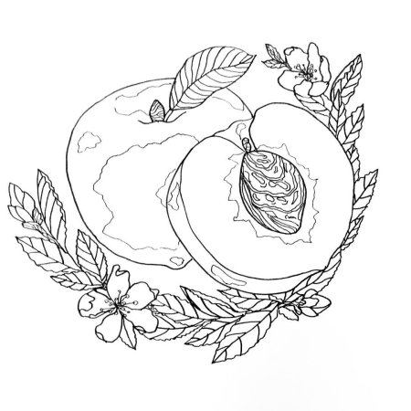 Персик эскиз