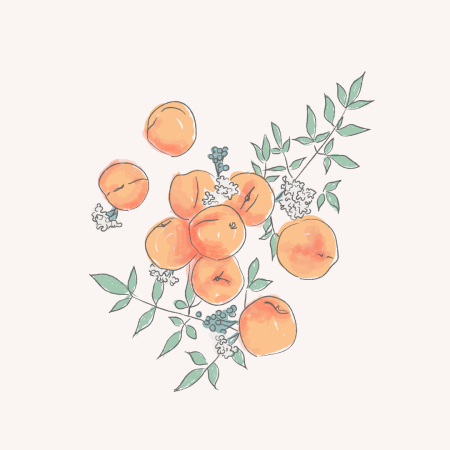 Персик Минимализм рисунок