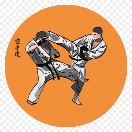 Каратист на белом фоне