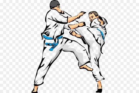 Каратэ на белом фоне