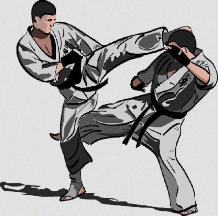 Кекушин каратэ вектор