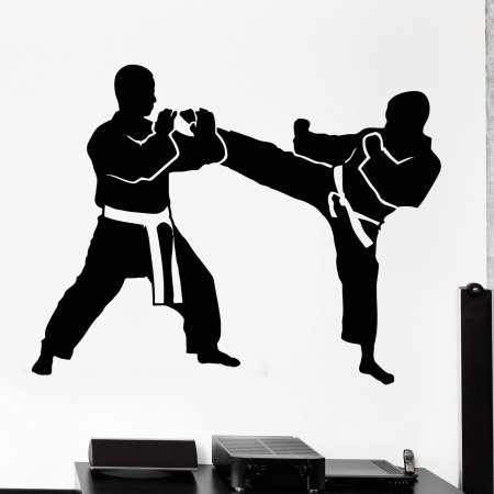 Силуэты карате бой