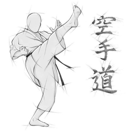 Аниме каратэ Шотокан