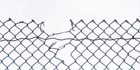 Сетка Sketchup рабица