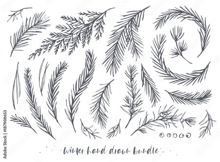 Еловые веточки тату