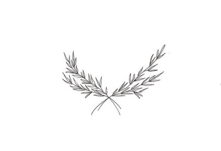 Еловые веточки эскиз