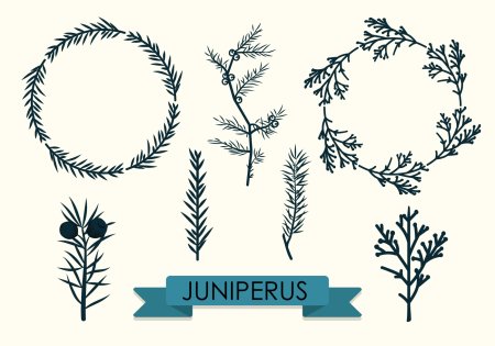 Стилизованная ветка