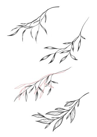 Ветвь эскиз