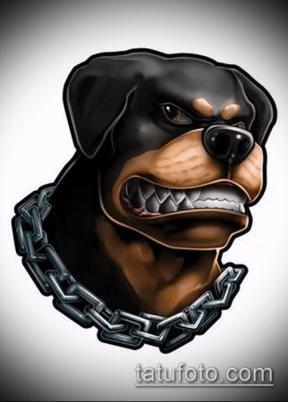 Как нарисовать собак француского бульдога🐶