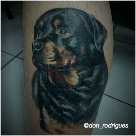 Тату ротвейлер