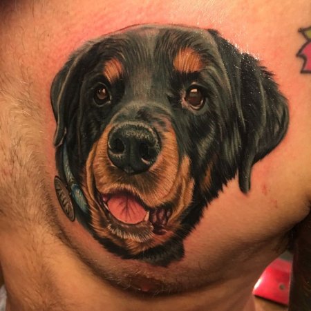 Тату ротвейлер чёрный