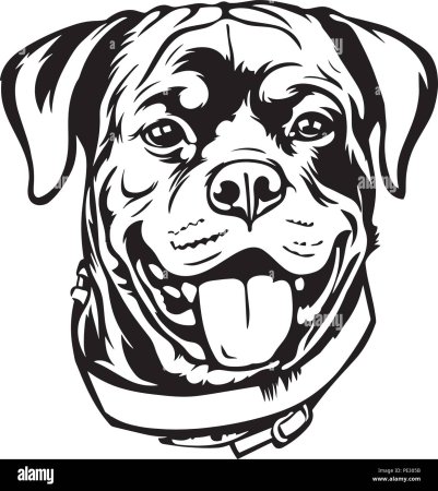 Ротвейлер вектор чб