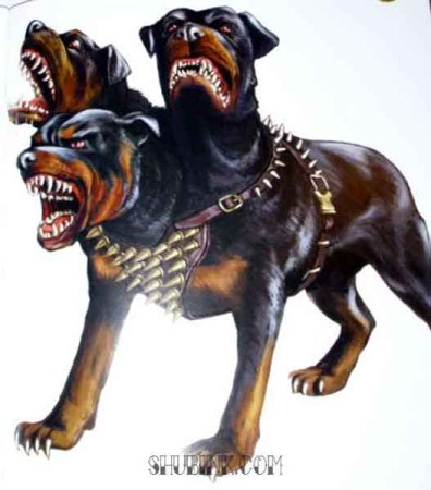 Церберус ротвейлер