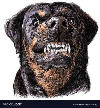 Цербер ротвейлер