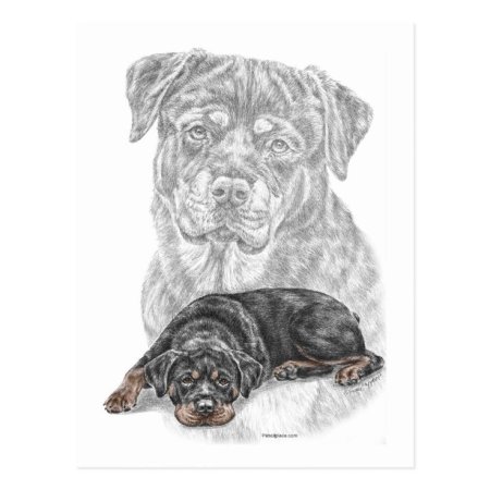 Ротвейлер Графика эскиз